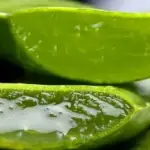 WhatsApp-Image-2024-09-16-at-6.58.26-PM-5