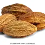 WhatsApp-Image-2024-09-16-at-6.58.27-PM-1